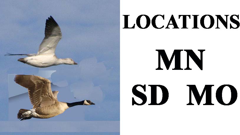 waterfowl hunting locations and hunting guide service